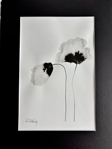 Mohnblume in Tusche (2026002)